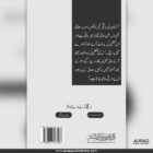 Bairbel The Writer by Asfandyar Waheed - Back Cover