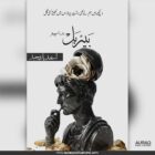 Bairbel The Writer by Asfandyar Waheed - Front Cover
